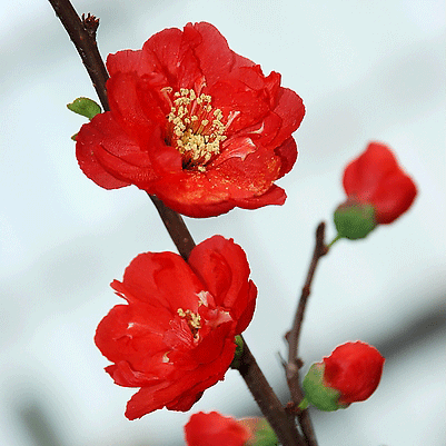 Do not forget the original ideals and aspirations, continue to move forward-Shuangliu Duan Xu Ming h